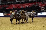 Quadrille - 00897